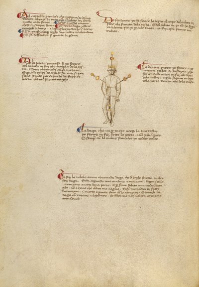 ボディの狙いを定める 作： Fiore Furlan dei Liberi da Premariacco