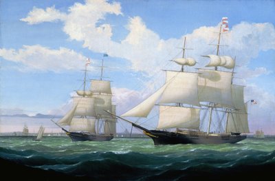  作： フィッツ・ヘンリー・レーン