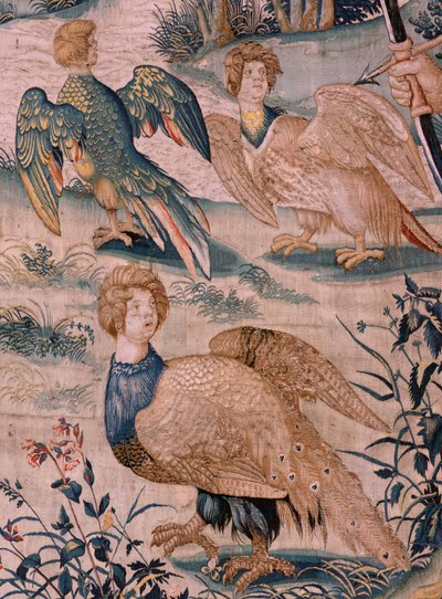 フランダースのタペストリー。 シリーズ ヘラクレスの労働。 Hercules と Stymphalian の鳥 (Hércules y las aves del lago Estínfalo)。 現存するシリーズ初のタペストリー。 モデル不明。 ブリュッセルのウィレム・デルモヤンのマニュファクチュール。 Ca1528。 ファブリック シルクとウール。 ; サイズ 3 作： Flemish School