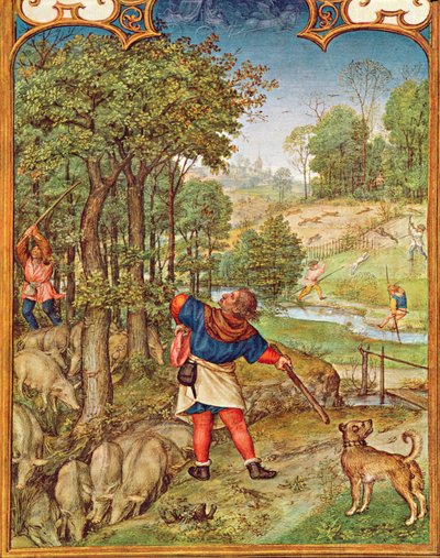 Fol.11v 11月：ブタのためのドングリの収穫と狩猟、ブレビアリウムグリマーニから、1515年 作： Flemish School