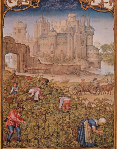 Fol.9v 9月：ブレビアリウムグリマーニのワイン収穫、1515年 作： Flemish School