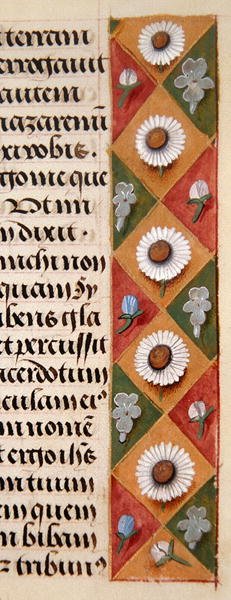 Ms.1058-1975, f.16r: 1500年頃の時祷書に描かれた花の縁飾りの詳細（ヴェラム製 作： Flemish School