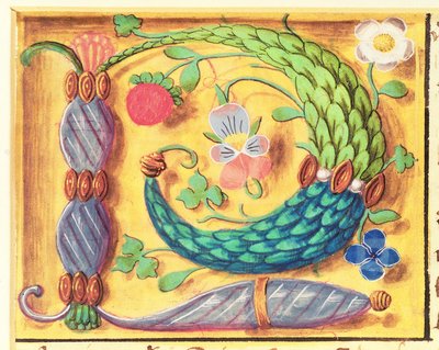 Ms 134照らされた手紙 `花の装飾が施されたP、時間の書、c.1500から 作： Flemish School