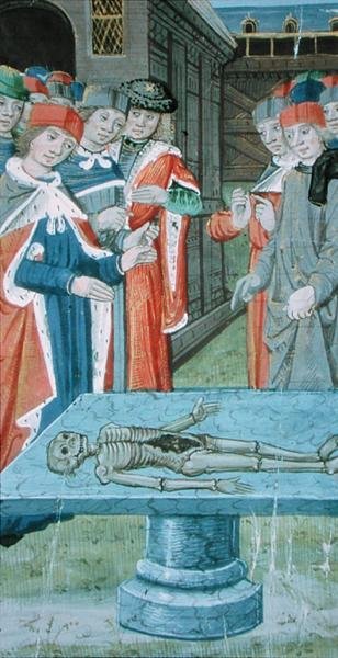 Ms.Hunter 9 f.12v アヴィセンナ（980-1037）の「De Medina Fen I. II」からの解剖（ベラム製） 作： Flemish School