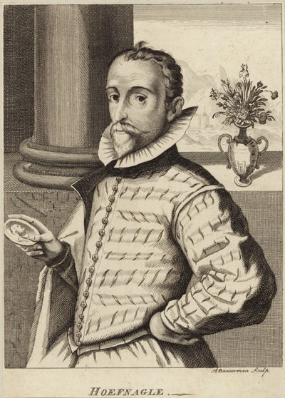 ジョリス・ヘフナゲルの肖像 作： Flemish School