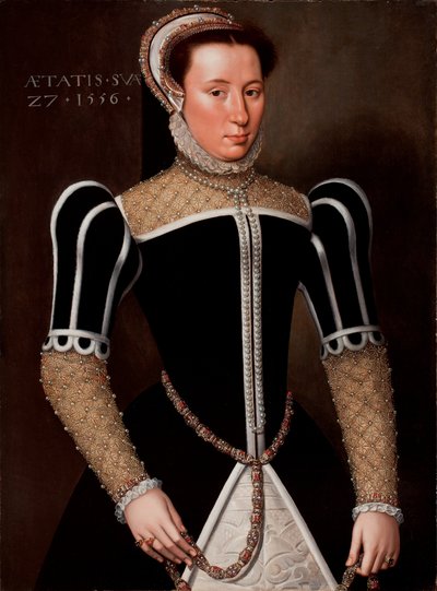 女性の肖像画、1556 作： Flemish School
