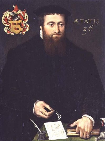 36歳の数学者と思われる学者の肖像（パネル） 作： Flemish School