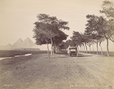 カイロ。 ピラミッドの路地、カリフォルニア州。 1870年。 作： Félix Bonfils
