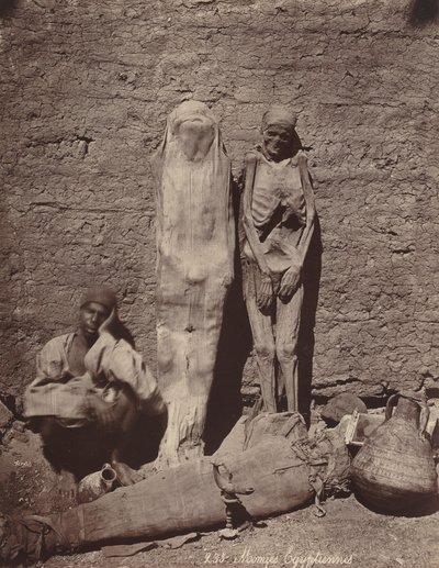 Momies Egyptiennes エジプトのミイラ、c。 1870年。 作： Félix Bonfils