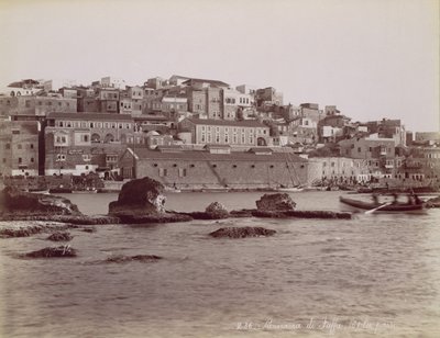 ヤッファのパノラマ、カリフォルニア州。 1880年。 作： Félix Bonfils