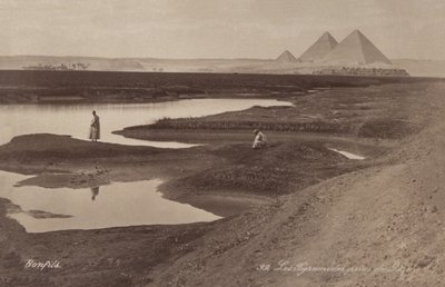 ギザのピラミッド、1900年頃（写真） 作： Félix Bonfils