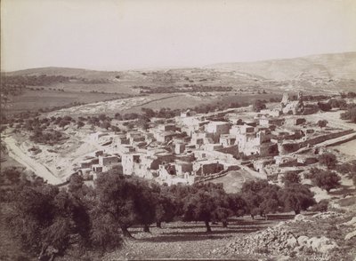 ベサニーの概観 - ベサニーの概観、カリフォルニア州。 1880年。 作： Félix Bonfils