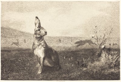 野ウサギ 作： Félix Bracquemond after Albert de Balleroy