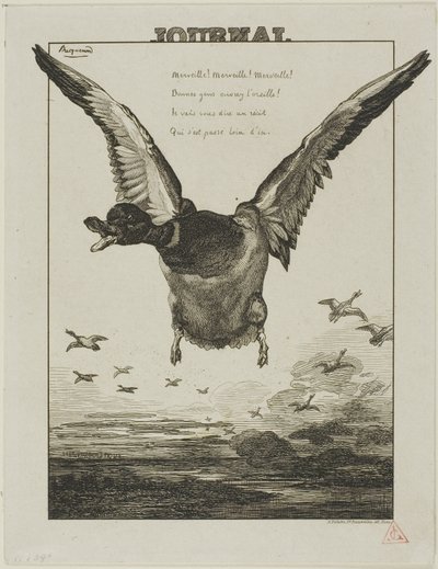 ザ・ダック 作： Félix Henri Bracquemond