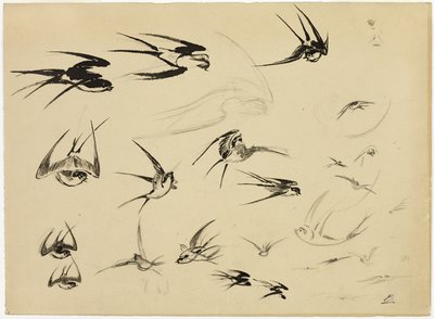 ツバメ 作： Félix Henri Bracquemond