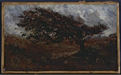 ル・クー・ドゥ・ヴァン 1850年から1860年の間（油彩、紙、キャンバス） 作： Félix Ziem