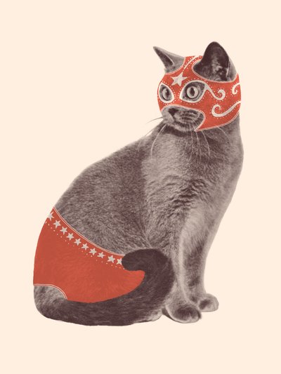 猫のレスラー 作： Florent Bodart