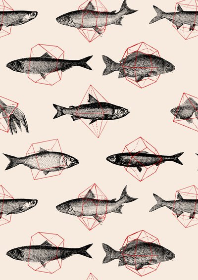 幾何学模様の魚たち 作： Florent Bodart