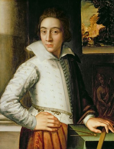 16世紀半ばの青年の肖像（オークパネルに油彩） 作： Florentine School