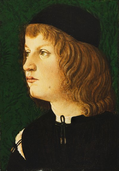 ダークキャップを着用したバスト丈の若者の肖像、c.1475 作： Florentine School