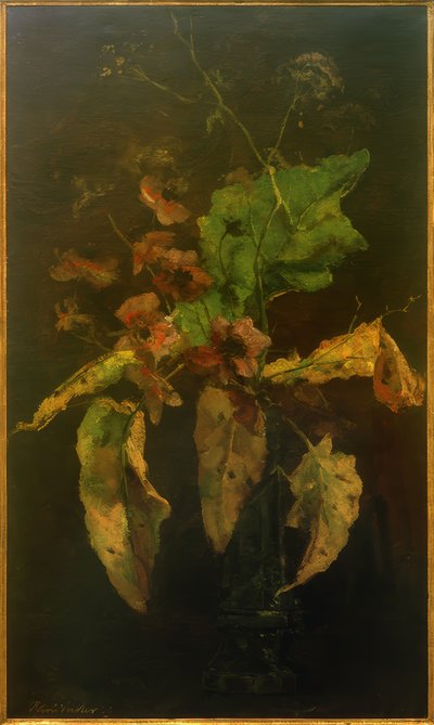 アネモネと葉 作： Floris Verster