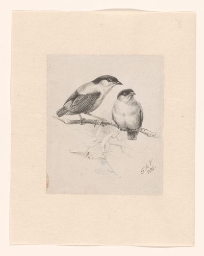 枝に 2 つのおっぱい 作： Floris Verster