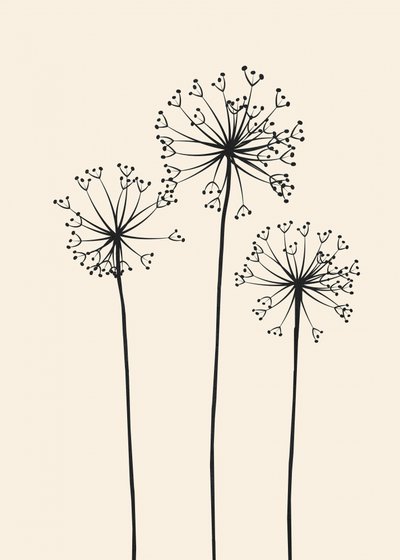 ミニマルなタンポポの花 作： Flow Line