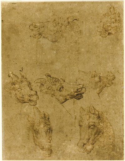 馬とユニコーンの頭 作： Follower of Leonardo da Vinci