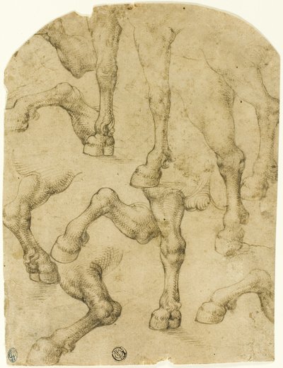 馬の脚のスケッチ（レクト）；柱のスケッチ（裏面 作： Follower of Leonardo da Vinci