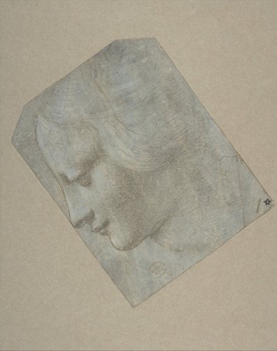 左を向いた横顔の女性の頭部、1490～1500 年。 作： Follower of Leonardo da Vinci.