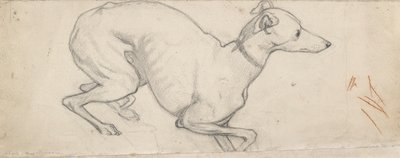 グレイハウンドの研究、19 世紀半ば 作： Ford Madox Brown