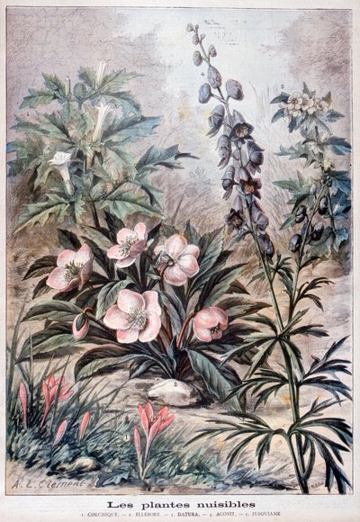 有害な植物、1897 作： Fortuné Méaulle