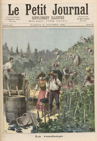 ワインの収穫、1891年10月31日「Le Petit Journal」より 作： Fortune Louis Meaulle and Henri Meyer