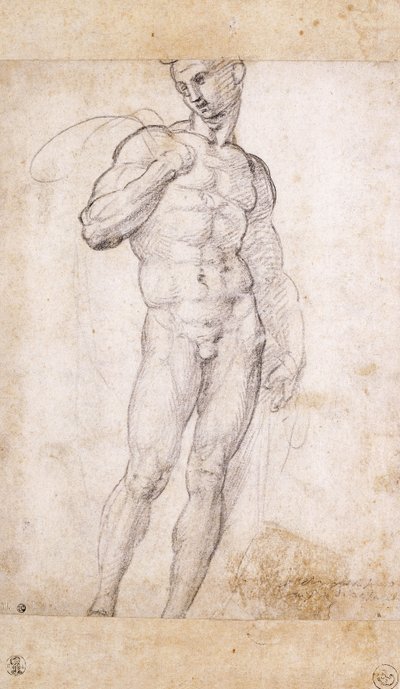 彼のShoudlersの上にケープをかぶっているヌード、 作： Fra Bartolomeo