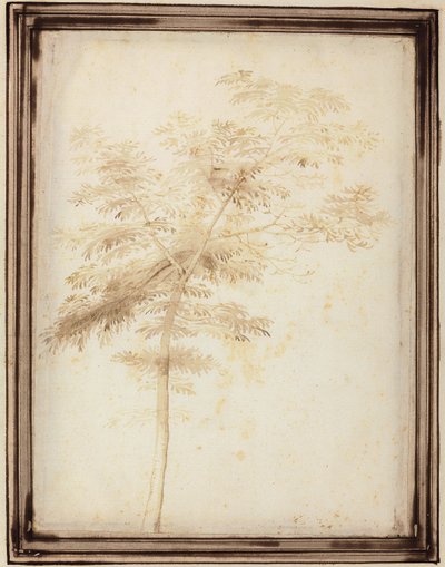 木の研究 作： Fra Bartolomeo