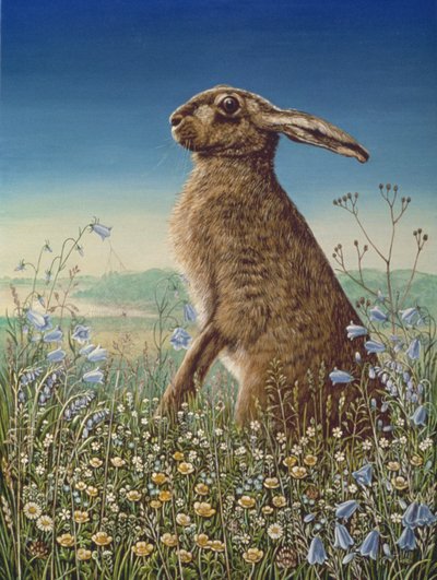 ヘア、1984（パネルに油とテンペラ） 作： Frances Broomfield