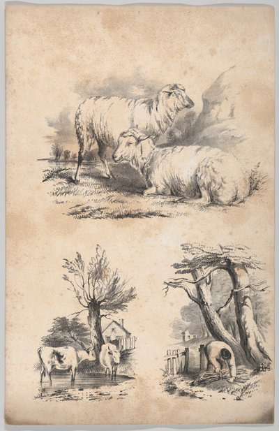 2 頭の羊のビネット、プールにいる 2 頭の牛のビネット、薪集めのビネット…、1847 年。 作： Frances Flora Bond Palmer