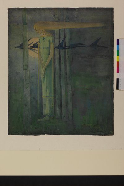 「イル・オーメン」または「月を通過するワタリガラスの東風の少女」1893 作： Frances Macdonald