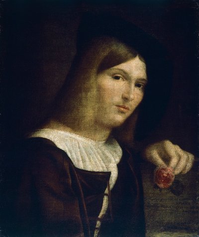薔薇を持つ青年の肖像 作： Francesco Torbido