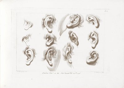 十二耳 Ciprianis Principles of Drawing (シリーズタイトル) キプリアニスの素描（連載タイトル） 作： Francesco Bartolozzi