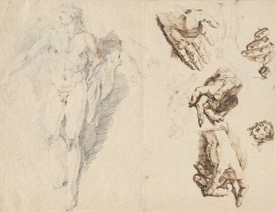 アポロと芸術家自身の手の研究 [直訳] 作： Francesco Fontebasso