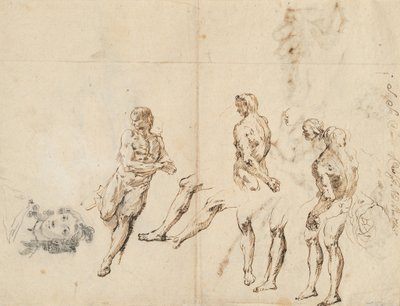 女性の頭と男性の裸体の研究 [裏面] 作： Francesco Fontebasso