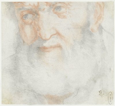 ひげを生やした老人の頭 作： Francesco Furini (attributed to)