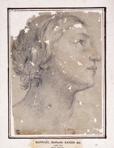 右の横にある女性の頭、 作： Francesco Giovanni Gessi