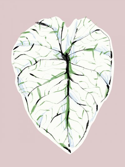  作： 