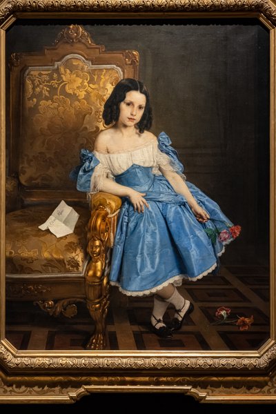 ルイジア・ネグローニ・プラティ・モロシーニ伯爵夫人の肖像 作： Francesco Hayez