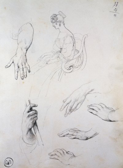 クリスティーナ・トリヴルジオ・ベルジョソの肖像のための習作 作： Francesco Hayez