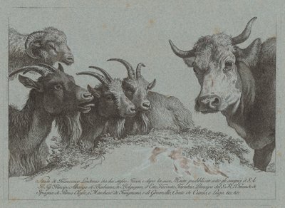 頭の研究: 3 頭のヤギ、1 頭の牛、1 頭の雄羊、2000 年頃に出版 1783年。 作： Francesco Londonio