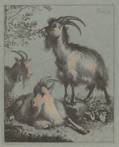 3 匹のヤギ、1758 年。 作： Francesco Londonio