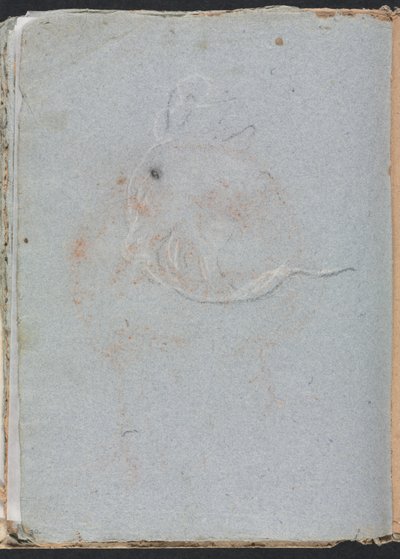 Verona Sketchbook：Head page 30、1760。 作： Francesco Lorenzi